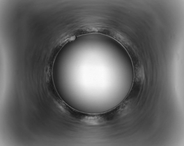 X0000087550414200704271212