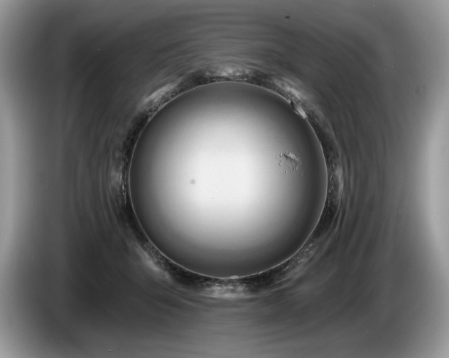 X0000087550415200704271212