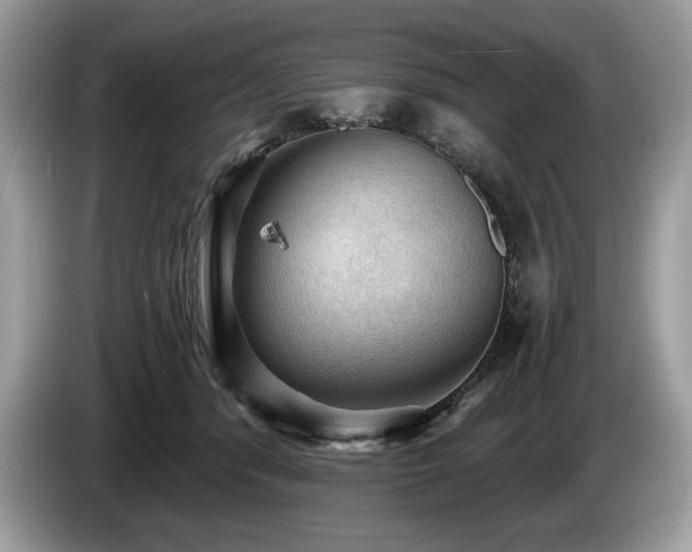 X0000087550416200704271212