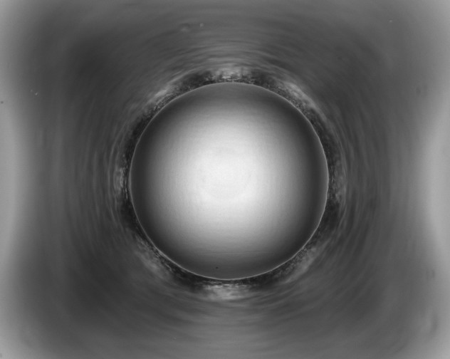 X0000087550417200704271212