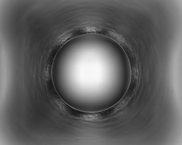 X0000087550422200704271212