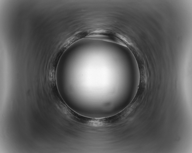 X0000087550425200704271212