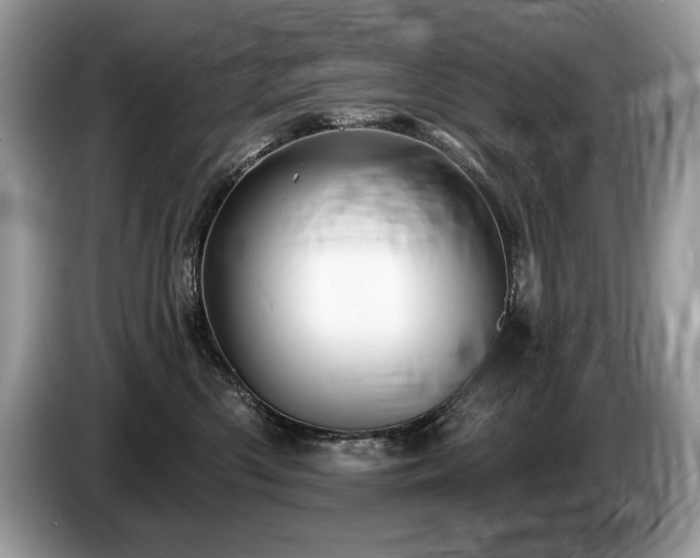 X0000087550426200704271212