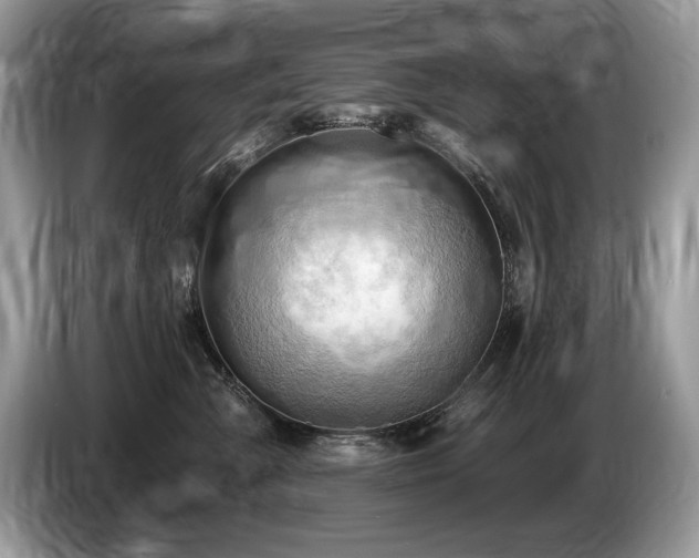 X0000087550427200704271212