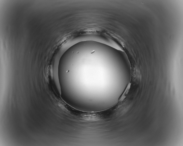 X0000087550428200704271211