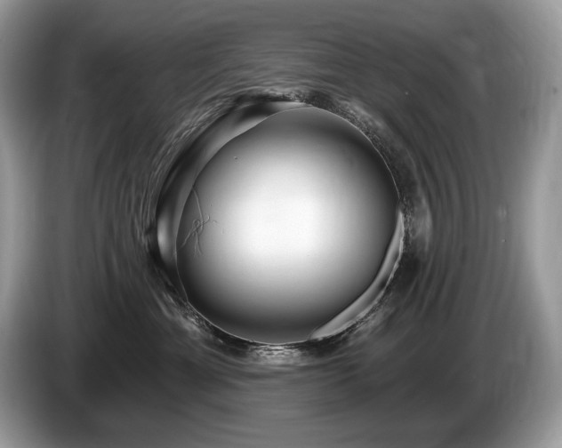 X0000087550429200704271211