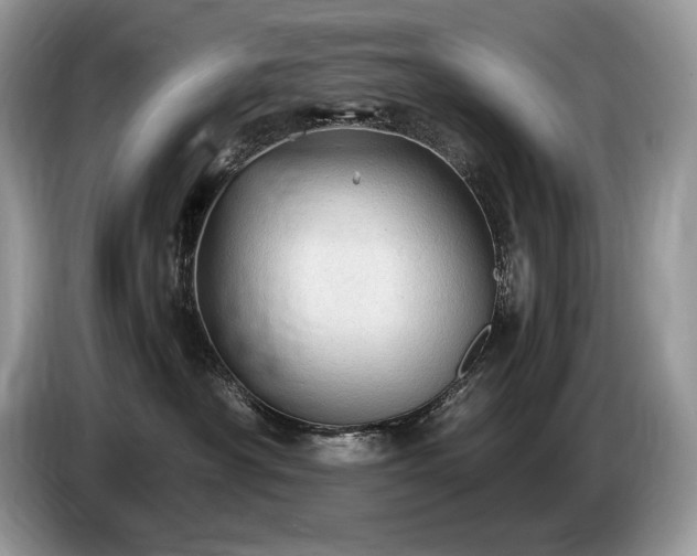 X0000087550430200704271211