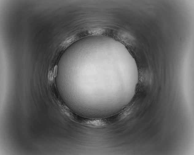 X0000087550431200704271211