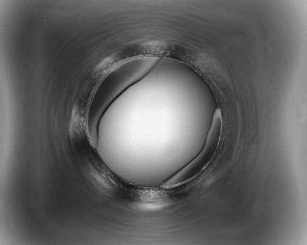 X0000087550432200704271211