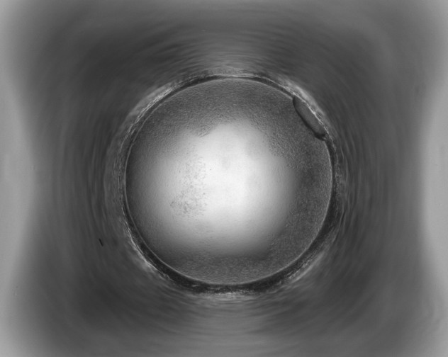 X0000087550433200704271211
