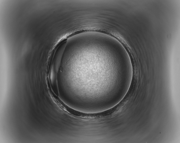 X0000087550434200704271211