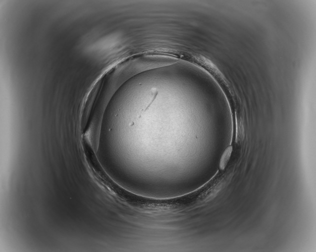X0000087550435200704271211