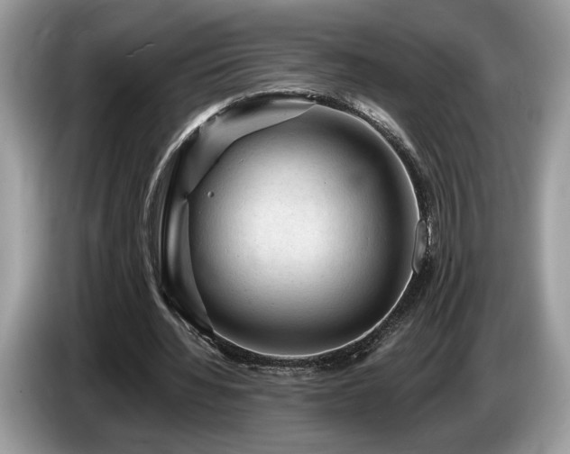 X0000087550436200704271211