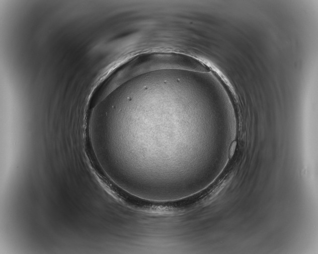 X0000087550437200704271211