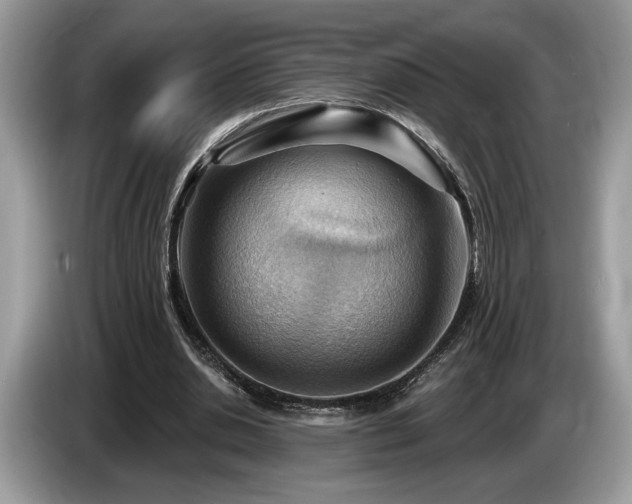 X0000087550438200704271211