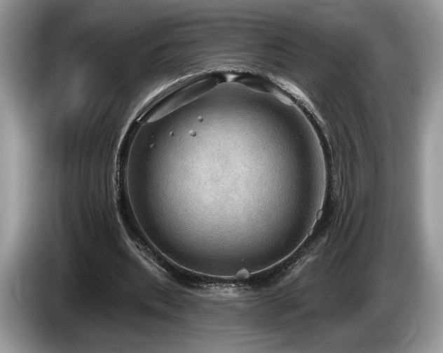 X0000087550439200704271211