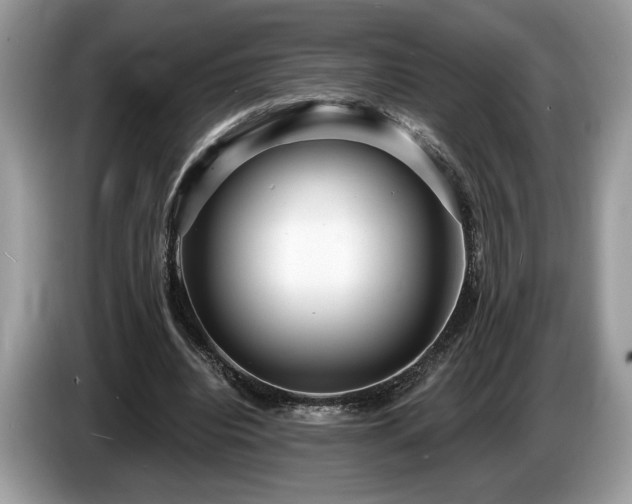 X0000087550440200704271211