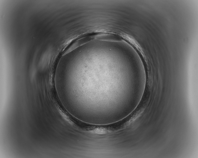 X0000087550441200704271211