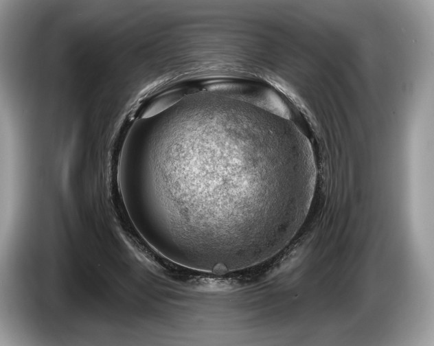X0000087550442200704271211