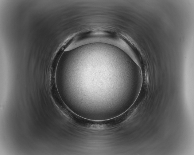X0000087550444200704271211