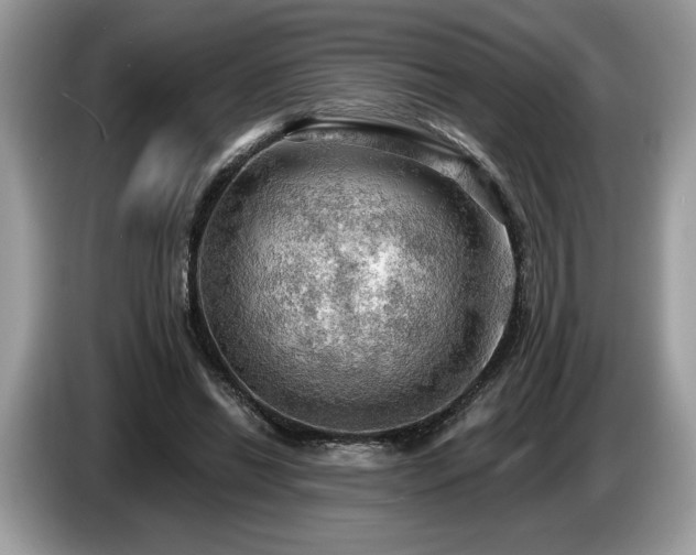 X0000087550446200704271211