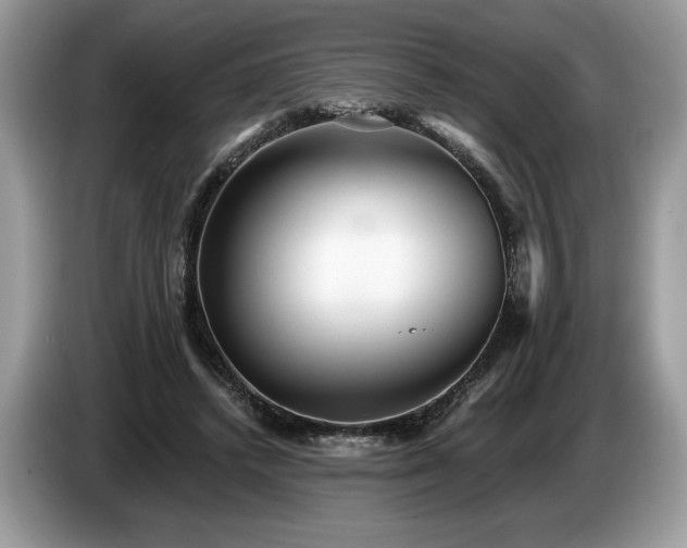 X0000087550448200704271211