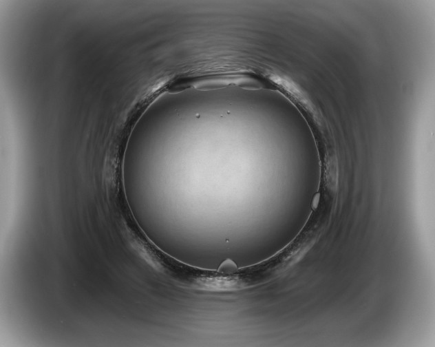 X0000087550449200704271211