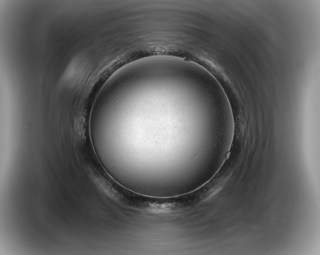 X0000087550450200704271211