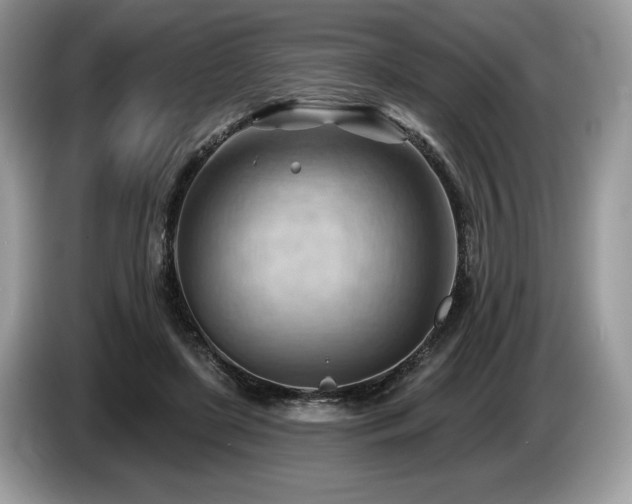 X0000087550451200704271211