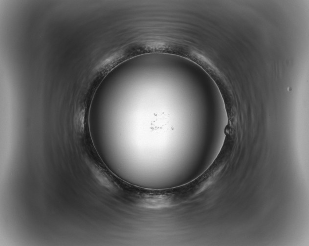 X0000087550454200704271211