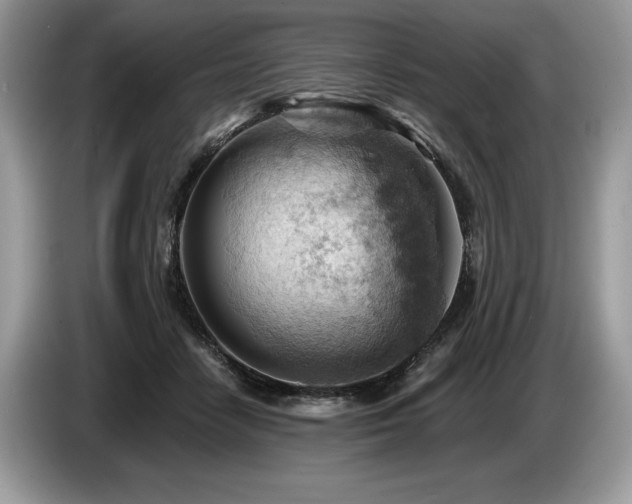 X0000087550458200704271211