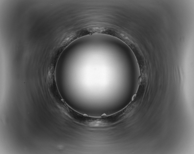 X0000087550460200704271211