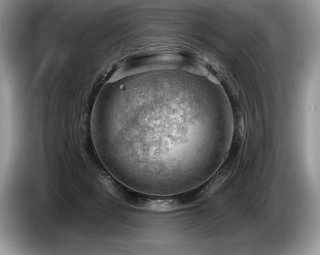 X0000087550461200704271211