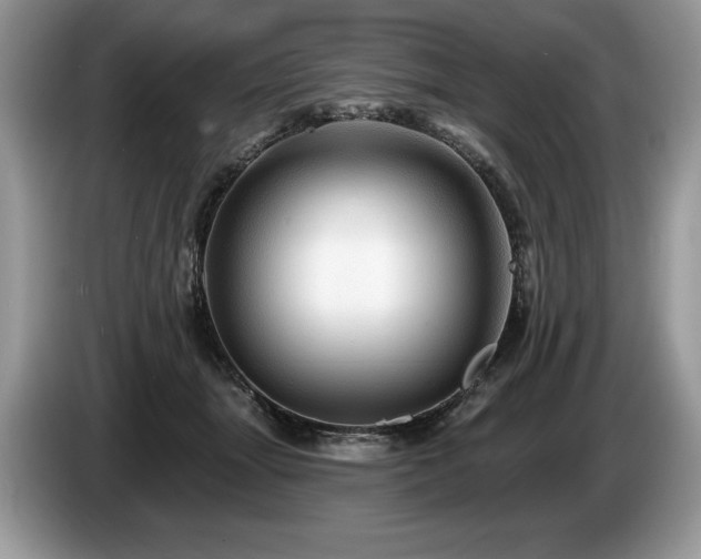 X0000087550463200704271211