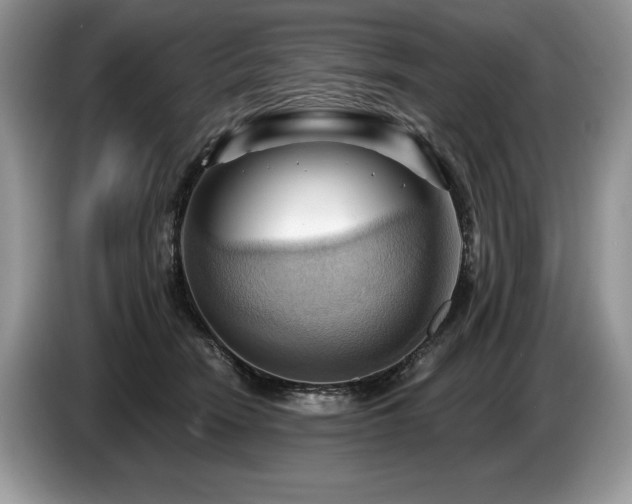 X0000087550466200704271211