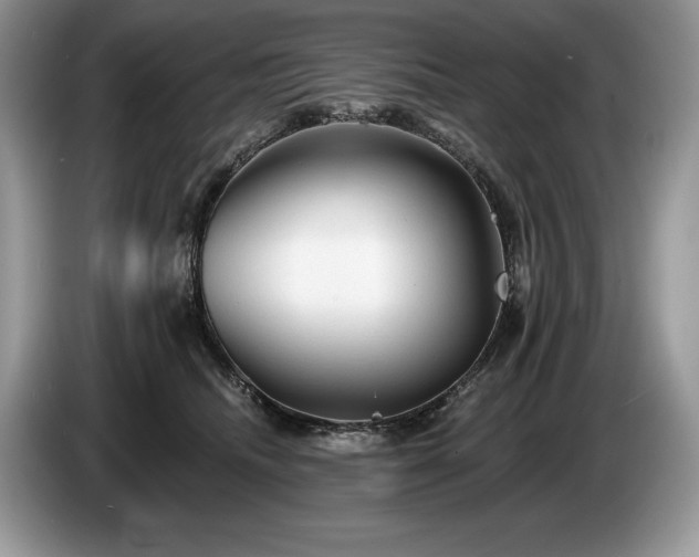X0000087550468200704271211
