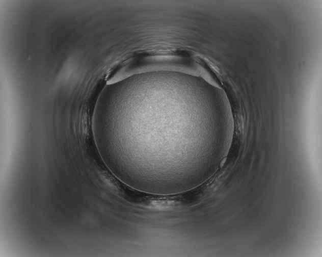 X0000087550470200704271211