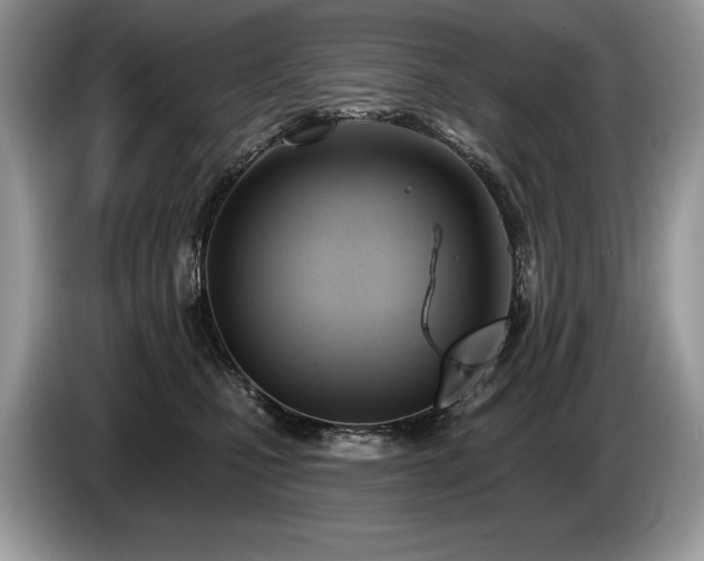 X0000087550471200704271211