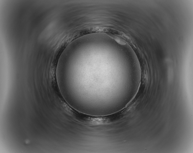 X0000087550473200704271211