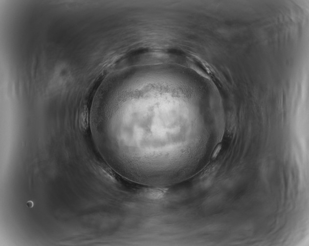 X0000087550474200704271211