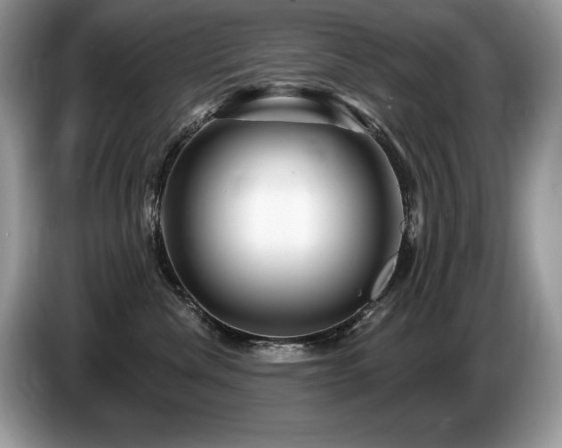 X0000087550476200704271211