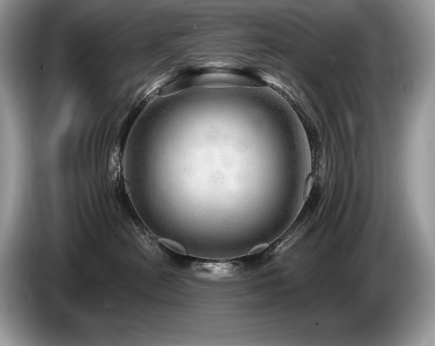 X0000087550478200704271211