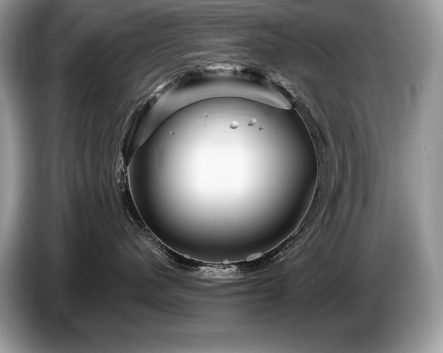 X0000087550480200704271211