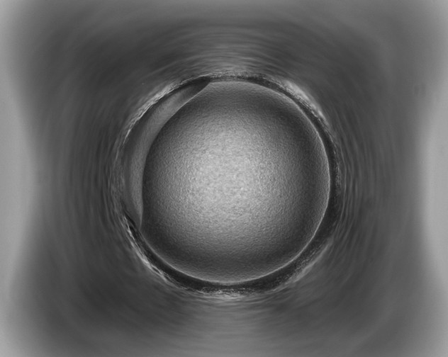 X0000087550481200704271211