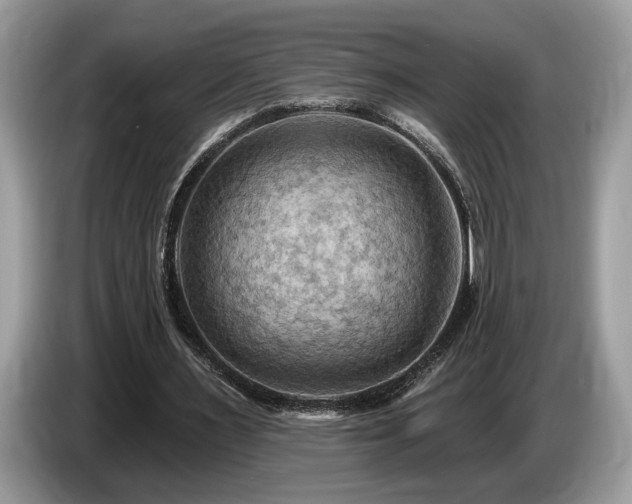 X0000087550483200704271211