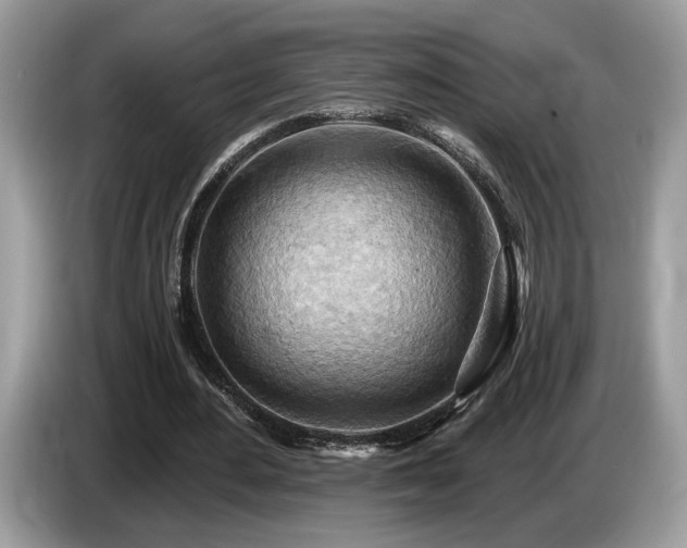 X0000087550484200704271211
