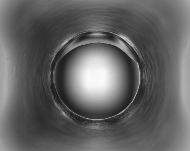 X0000087550485200704271211