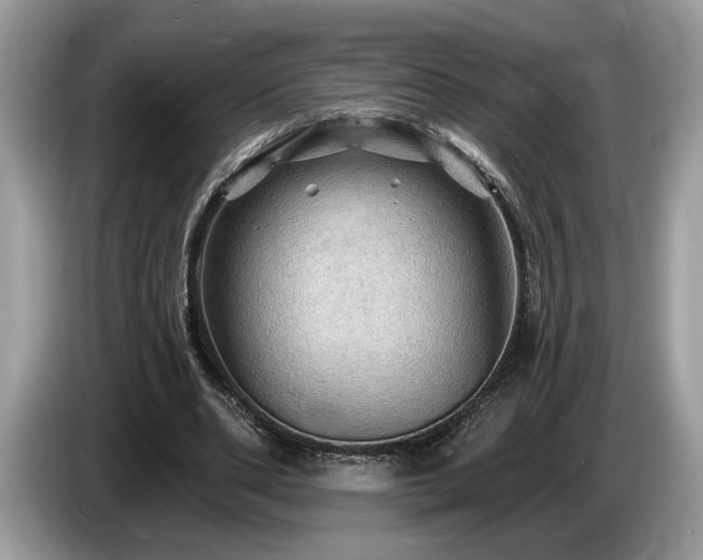 X0000087550486200704271211