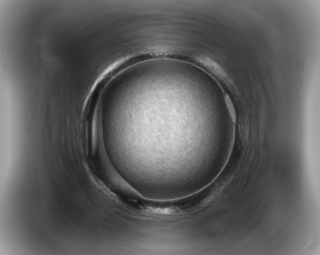 X0000087550488200704271211