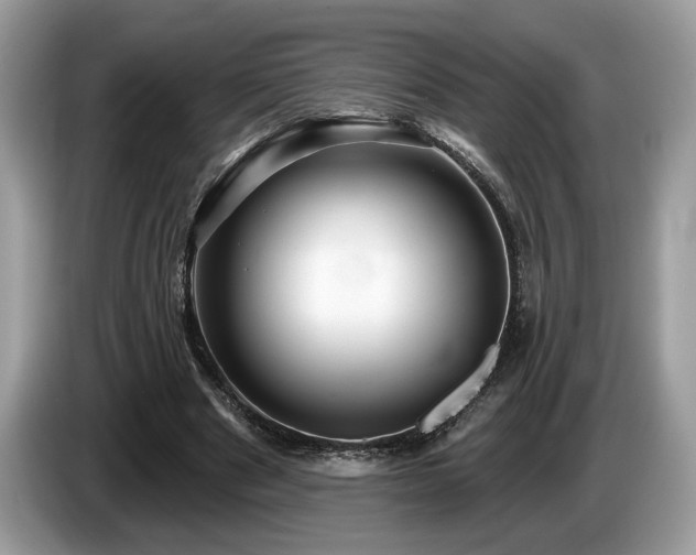 X0000087550489200704271211